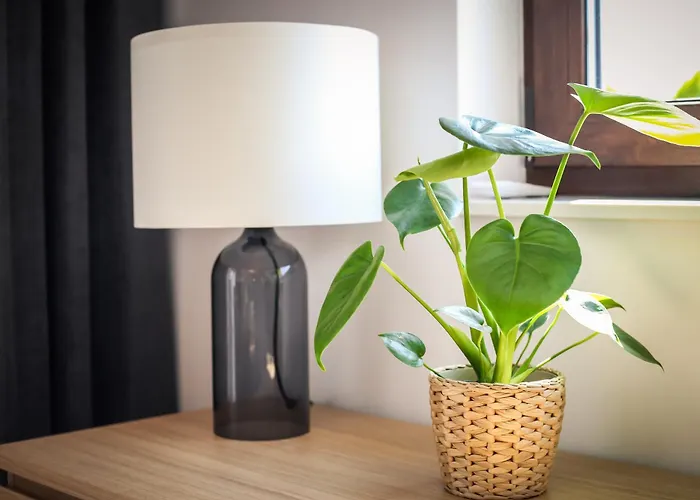 Wakacyjne 4 Lodge Ustka